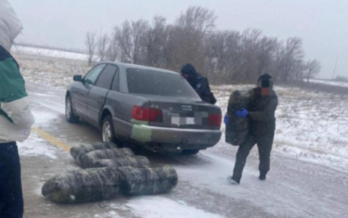 Жамбыл облысының тұрғындары 250 килограмнан астам кептірілген марихуананы тасымалдауға әрекет етті.